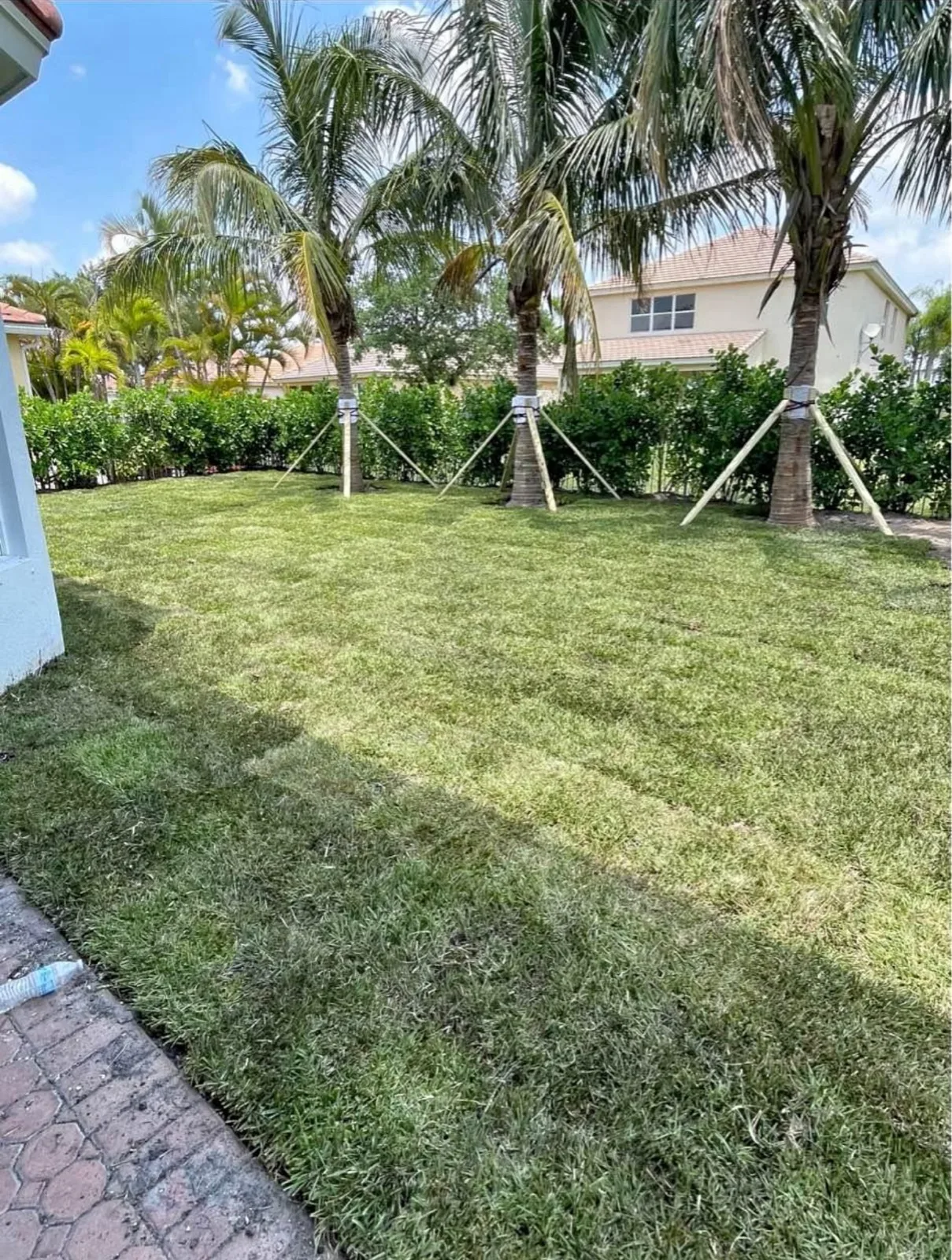 Freshly mowed, striped lawn after a Lighthouse Point lawn maintenance service